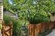 917 N Brainard, La Grange Park, IL 60526