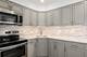 9395 Landings Unit 302, Des Plaines, IL 60016