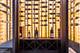 225 N Columbus Unit 8108, Chicago, IL 60601