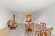 5s100 Pebblewood Unit E6, Naperville, IL 60563