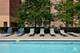 300 Village Unit 314, Willow Springs, IL 60480