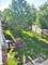 2025 N Sawyer, Chicago, IL 60647