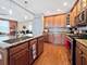 1210 Falcon Ridge, Elgin, IL 60124
