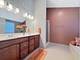 1210 Falcon Ridge, Elgin, IL 60124