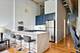1727 S Indiana Unit 225, Chicago, IL 60616
