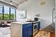 1727 S Indiana Unit 225, Chicago, IL 60616