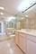 1745 Pavilion Unit 502, Park Ridge, IL 60068
