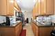 1123 Hannah, Forest Park, IL 60130