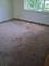 41 Mccarthy, Park Forest, IL 60466
