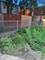 827 E 48th Unit C, Chicago, IL 60615