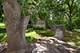 2520 Champlain, Ottawa, IL 61350
