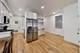 1616 S Morgan Unit 1, Chicago, IL 60608