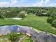 305 Somonauk, Park Forest, IL 60466