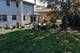 1014 S Grace, Mount Prospect, IL 60056