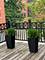 834 W Village, Chicago, IL 60608