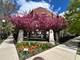 834 W Village, Chicago, IL 60608