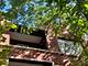 3618 W Ainslie Unit 3W, Chicago, IL 60625