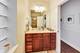 3333 N Seminary Unit 3, Chicago, IL 60657