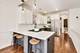3333 N Seminary Unit 3, Chicago, IL 60657