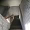 4756 S Lockwood, Chicago, IL 60638