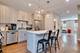 2253 W Coulter Unit 4, Chicago, IL 60608