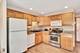 18223 Eagle, Tinley Park, IL 60477