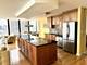 505 N Lake Shore Unit 4910, Chicago, IL 60611