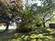 233 Arthur, Woodstock, IL 60098