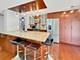 1115 S Plymouth Unit 114, Chicago, IL 60605