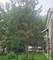 1748 N Harding, Chicago, IL 60647