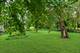 810 Main, West Chicago, IL 60185