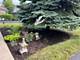 2813 Bond, Naperville, IL 60563