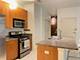 765 W 15th Unit 210, Chicago, IL 60607