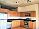 1720 S Michigan Unit 1717, Chicago, IL 60616