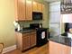 209 Chicago Unit 1, Oak Park, IL 60302