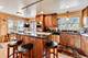 4962 N Oconto, Harwood Heights, IL 60706
