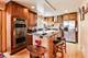 4962 N Oconto, Harwood Heights, IL 60706