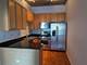 1305 S Michigan Unit 1509, Chicago, IL 60605