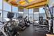 1236 Chicago Unit 703, Evanston, IL 60202