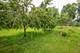 15717 S River, Plainfield, IL 60544