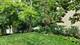 526 River Front, Naperville, IL 60540