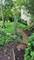 526 River Front, Naperville, IL 60540