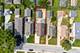 7630 N Oleander, Niles, IL 60714