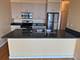 1620 S Michigan Unit 914, Chicago, IL 60616