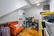 4922 N Janssen Unit 1, Chicago, IL 60640