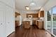 21409 W Douglas, Plainfield, IL 60544