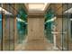 180 E Pearson Unit 6103-6203, Chicago, IL 60611