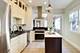 534 Lathrop, River Forest, IL 60305