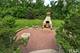 200 Helm, Barrington Hills, IL 60010