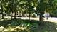 630 Huntley, Crete, IL 60417